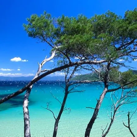 Superbe Maison T3 Vue & Jardin Hyeres
